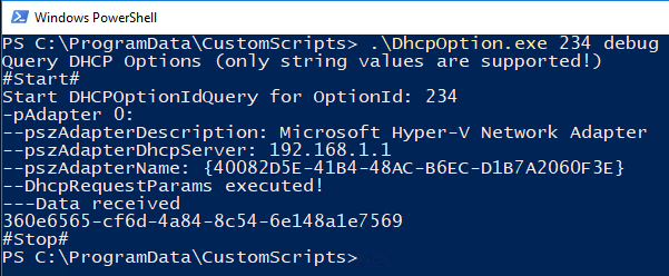 DhcpOptionExeDebugExample