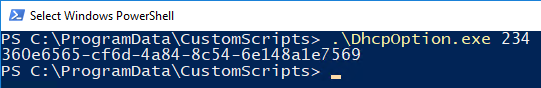 DhcpOptionExeExample