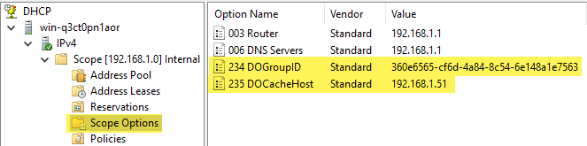 DHCP scope option 235