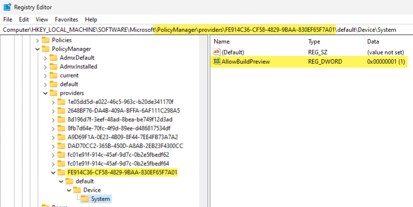 SyncML Viewer local MDM enrollment values for AllowBuildPreview in registry