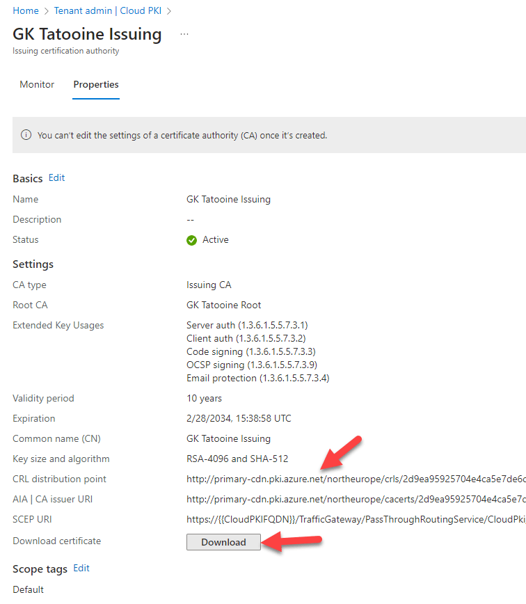 Microsoft Cloud PKI Issuing CA Properties